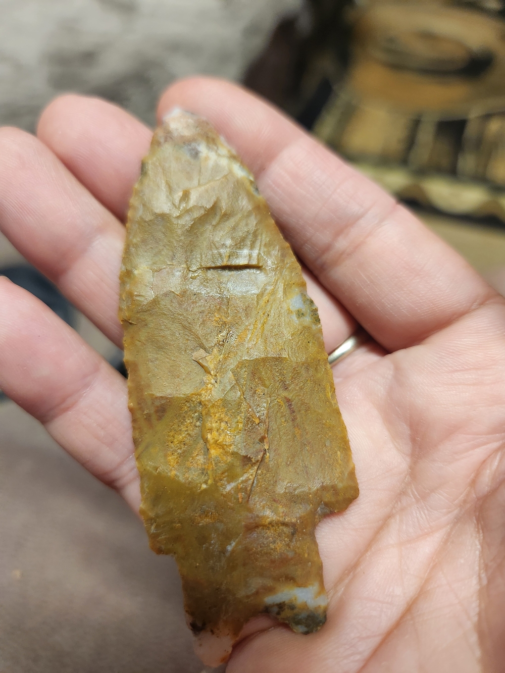 High Grade JESPERIZED Chert Brown Fossil Stone - Brown - Picture 2 of 16